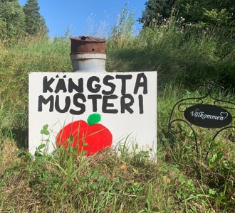 Kängsta 8