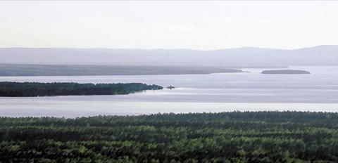 Ytterdörrar med tradition från Siljansbygdens skogar