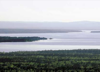 Minska klimatavtrycket